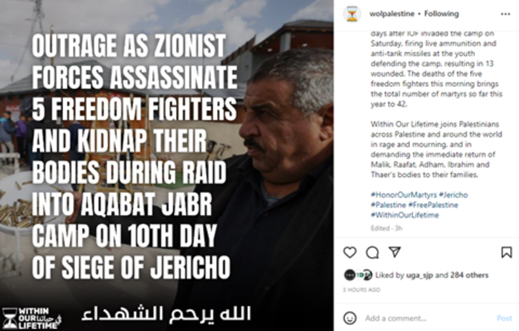 Nerdeen Kiswani and Within Our Lifetime-United for Palestine: What You Need to Know