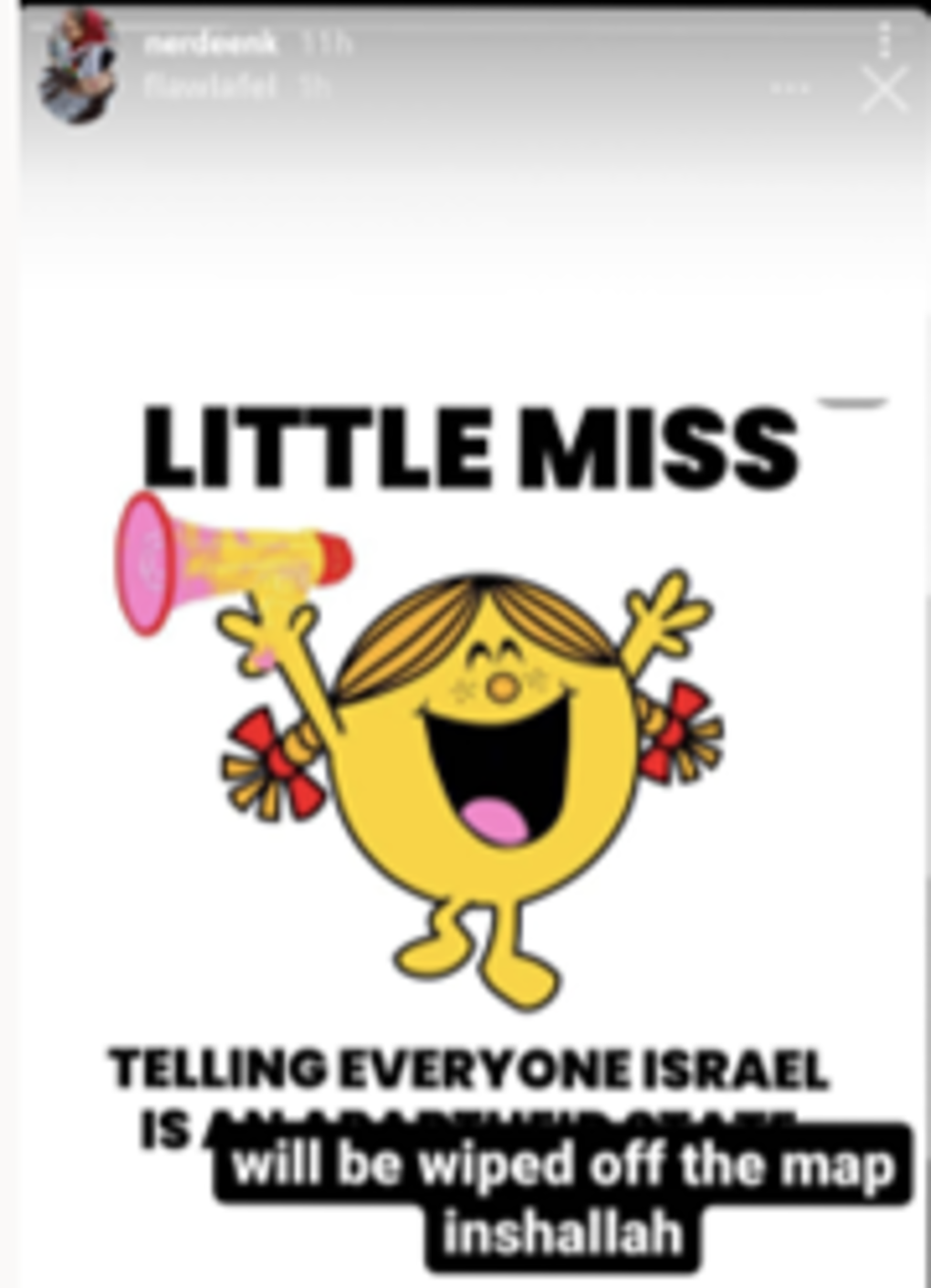Nerdeen Kiswani and Within Our Lifetime-United for Palestine: What You Need to Know