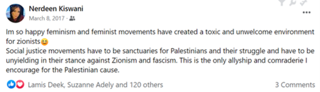 Nerdeen Kiswani and Within Our Lifetime-United for Palestine: What You Need to Know