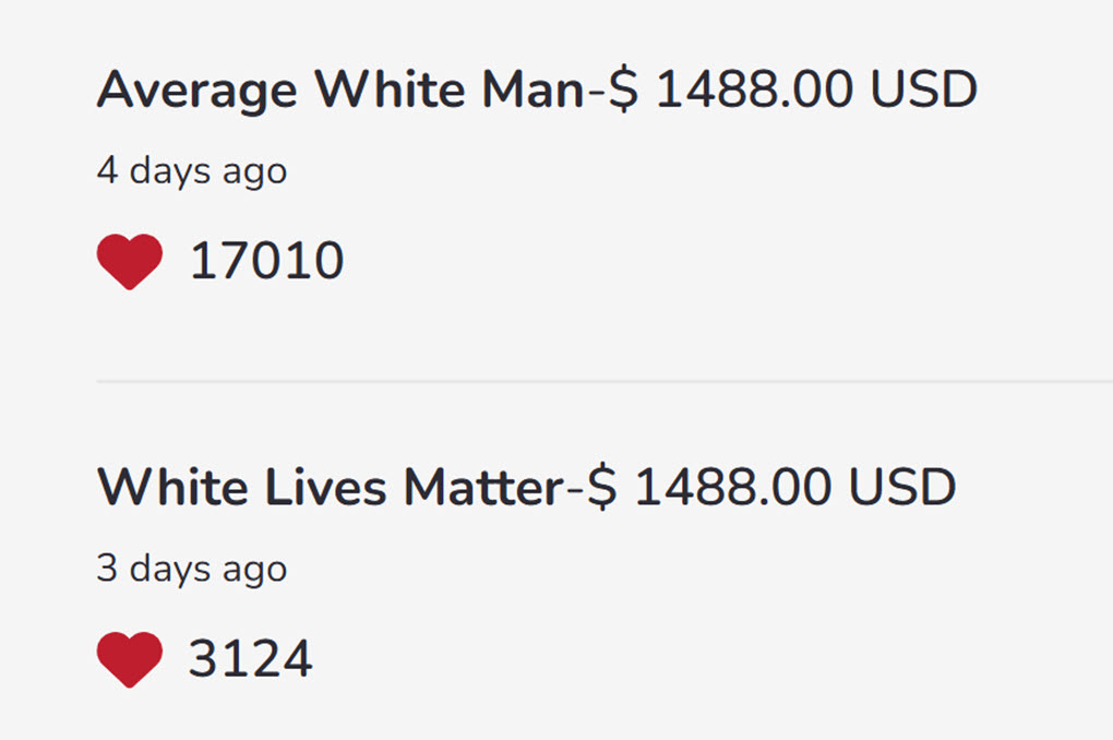 After GiveSendGo disabled comments on the Hendrix campaign, white supremacists continued to use the name and alias fields to spread their vitriol