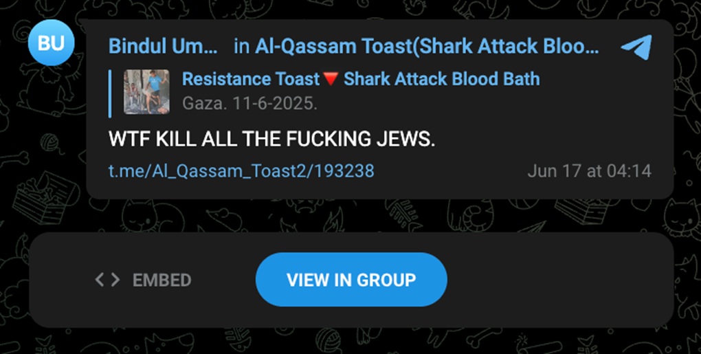 A message on Telegram reading: "WTF Kill all the fucking Jews."