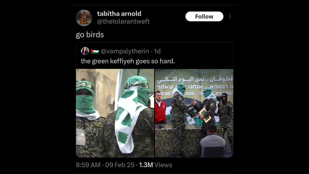 A February 2025 X post by Tabitha Arnold, of Chattanooga DSA, reposting images of Hamas members with the caption, “Go Birds.”