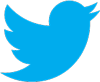 New Twitter Logo Twitter