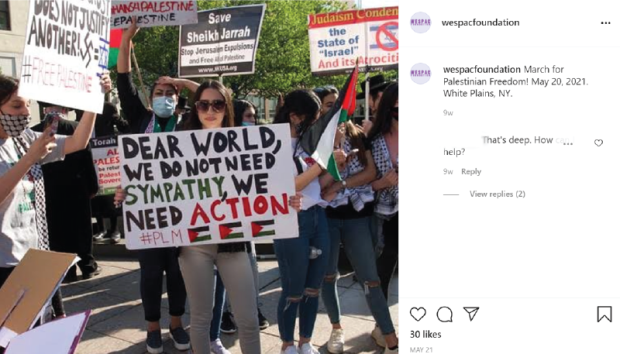 The Anti-Israel Movement on