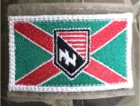 National Socialist Legion