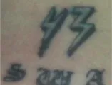 43