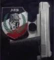 Aryan Terror Brigade