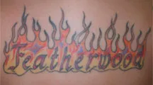 Featherwood