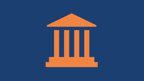 government