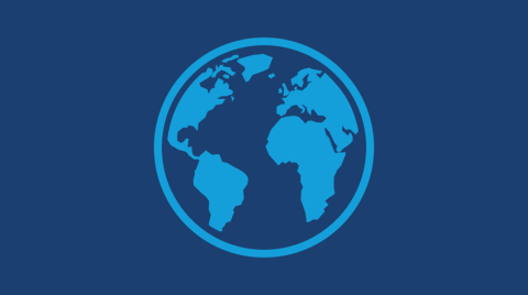 Globe icon