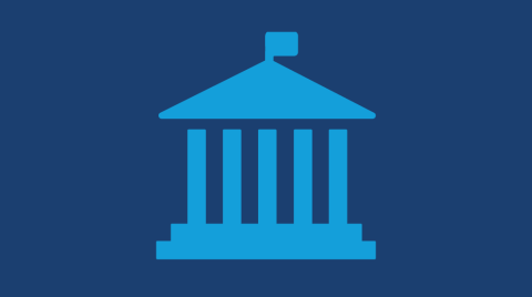 State government icon