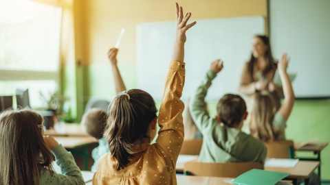 Elementary kids in a classroom raising their hands